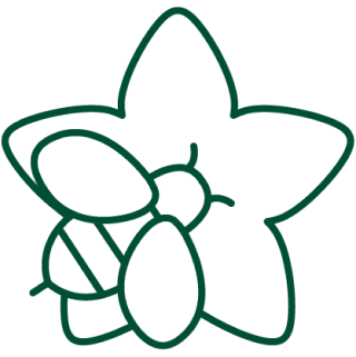effective pollination - icon