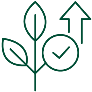 proper plant growth - icon